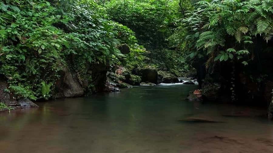 Ubud: Bayad Village, Waterfall and Cave Trek Adventure - Practical Details and Value