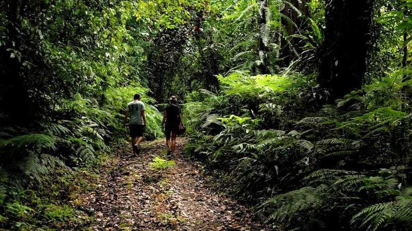 Ubud: Bayad Village, Waterfall and Cave Trek Adventure - FAQs