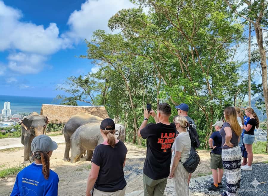Phuket: Patong Ethical Elephant Sanctuary Tour with Transfer - Who Will Love This Tour?