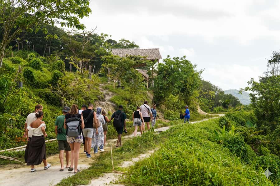 Phuket: Patong Ethical Elephant Sanctuary Tour with Transfer - A Deep Dive into the Experience