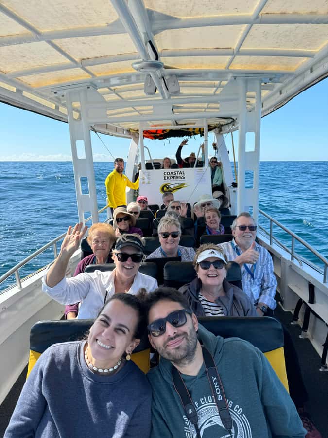 Mooloolaba: 2-Hour Whale Watching Adventure - Authentic Feedback from Past Participants