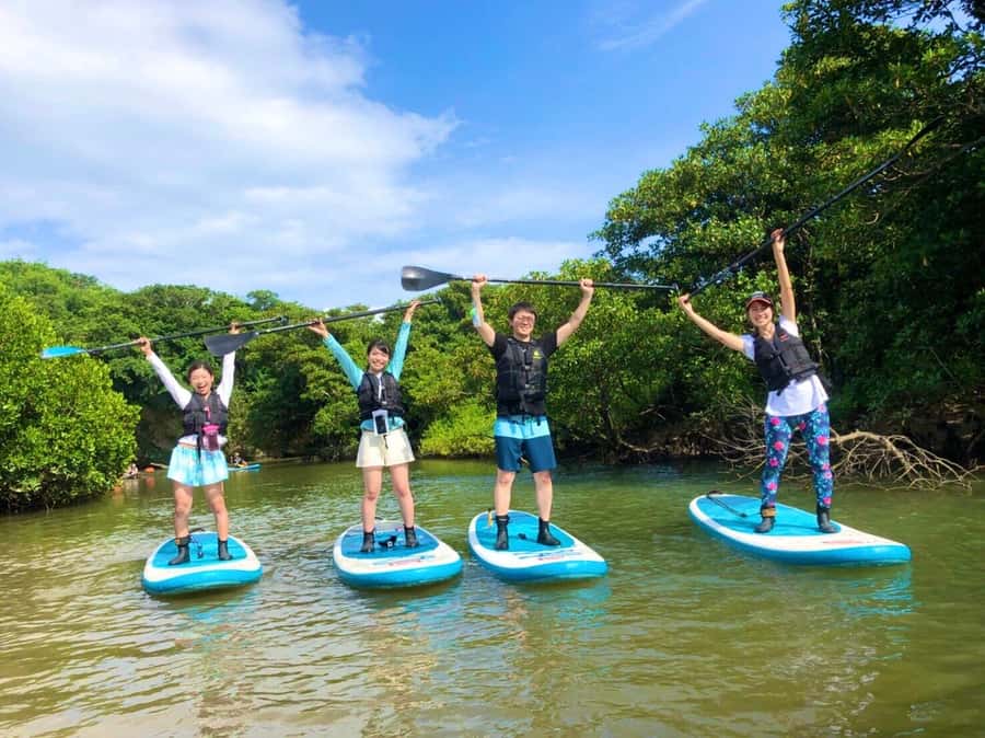 Ishigaki Island: SUP or Canoeing and Snorkeling at Blue Cave - Key Points