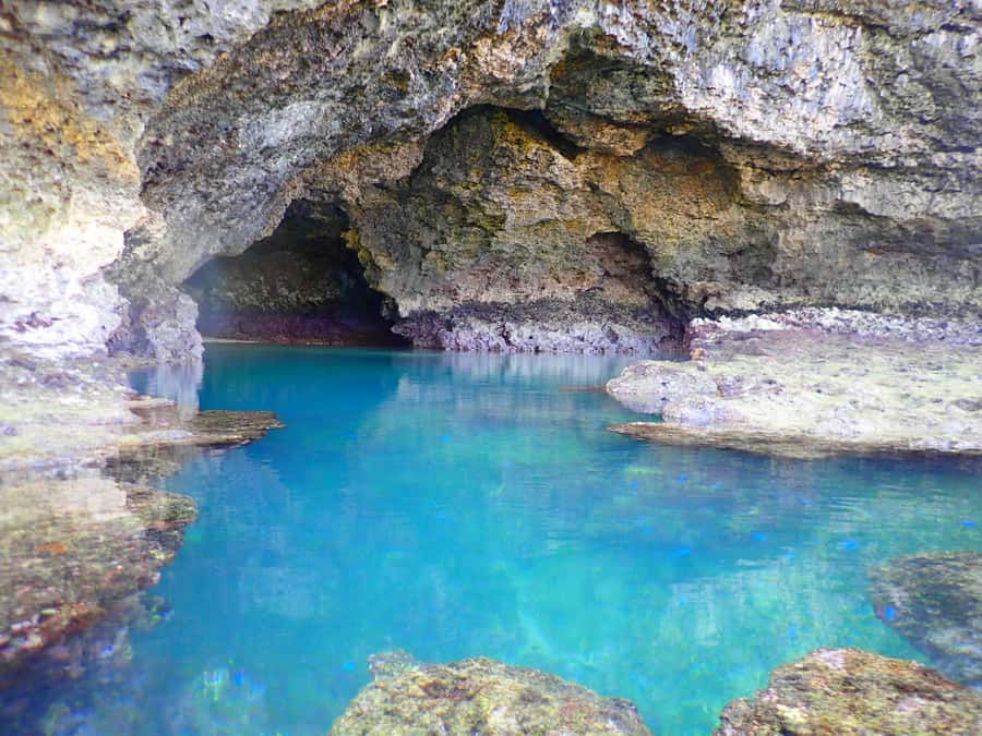 Ishigaki Island: SUP or Canoeing and Snorkeling at Blue Cave - Final Thoughts