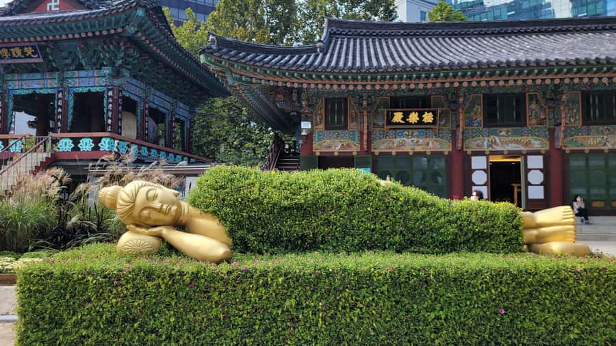 Seoul: Gyeongbokgung Palace, Jogyesa Temple, Bukchon Village - Why This Tour Is a Great Choice