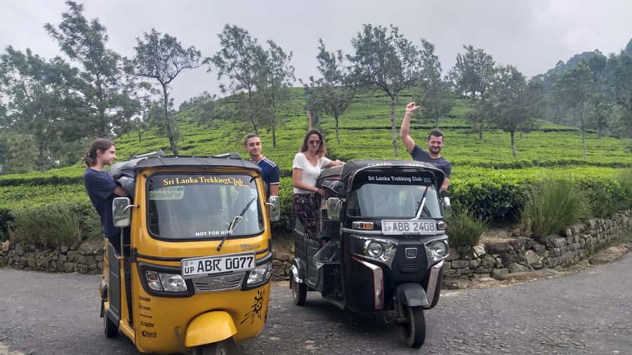 Tea Plantations By Tuk Tuk & Diyaluma Waterfall with Picnic - FAQ