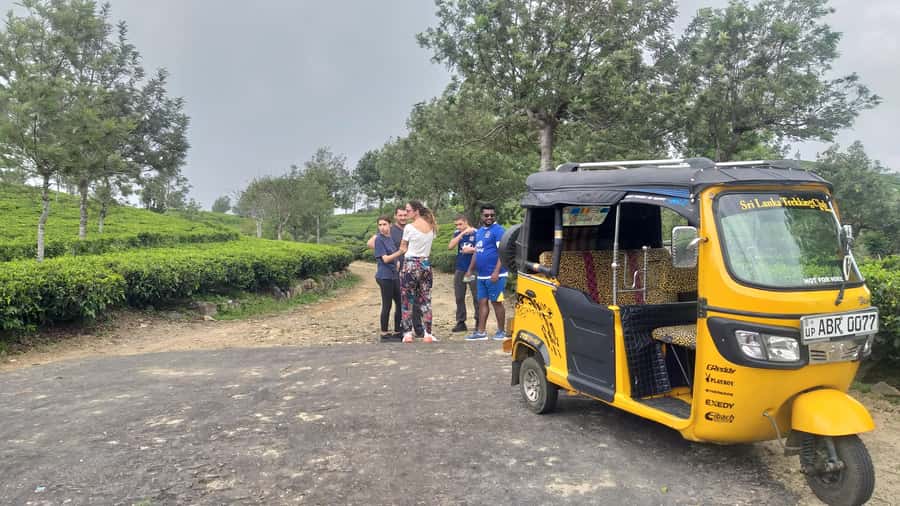 Tea Plantations By Tuk Tuk & Diyaluma Waterfall with Picnic - The Sum Up: Who This Tour Is Perfect For
