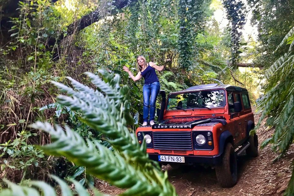 Madeira: Jeep 4x4 Safari Tour With Porto Moniz Natural Pools - Traveler Feedback and Ratings