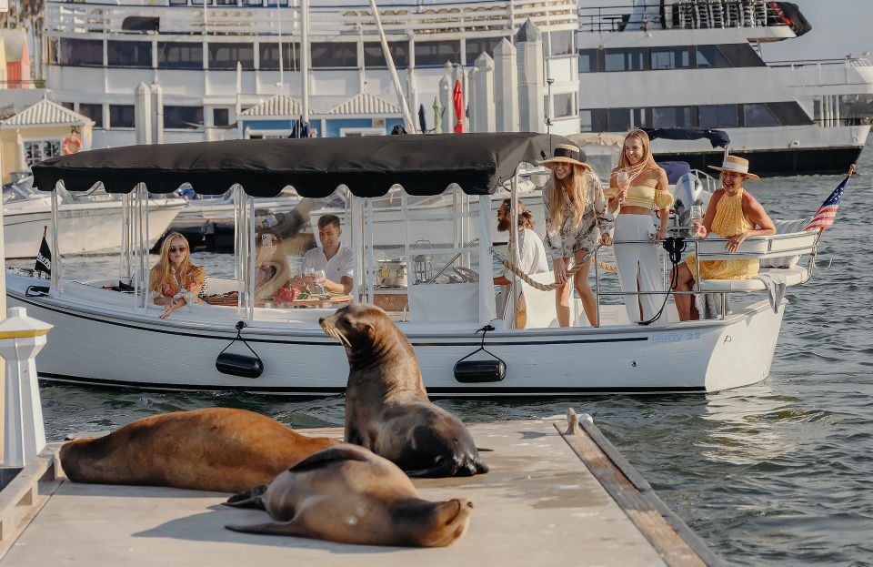 Los Angeles: Luxury Cruise with Wine, Cheese & Sea Lions - Exploring Marina del Rey from the Water