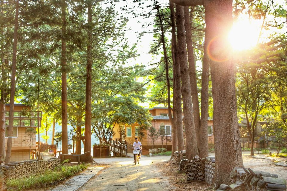 Seoul: Eobi Valley(Winter), Strawberry, Nami Island and Bike - Good To Know