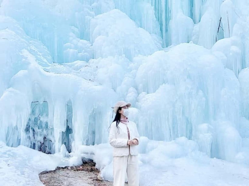 Seoul: Eobi Valley(Winter), Strawberry, Nami Island and Bike - An In-Depth Look at the Tour