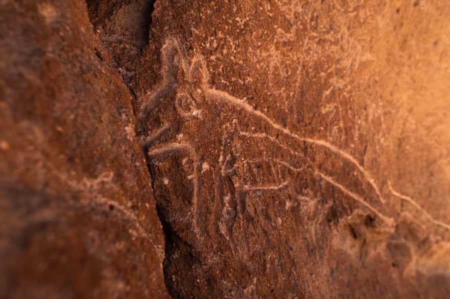 San Pedro de Atacama: Rainbow Valley & Hierbas Buenas Tour - FAQ