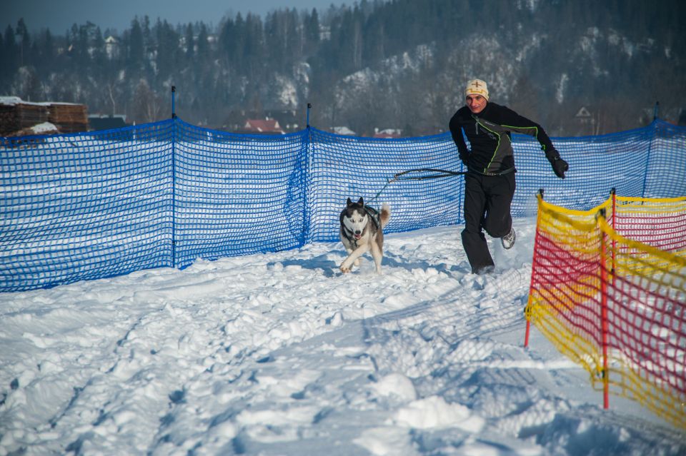 From Krakow: Dogsled Ride in Tatra Mountain - The Itinerary Breakdown