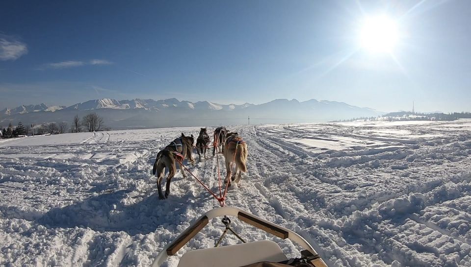 From Krakow: Dogsled Ride in Tatra Mountain - Final Thoughts: Who Should Consider This Tour?