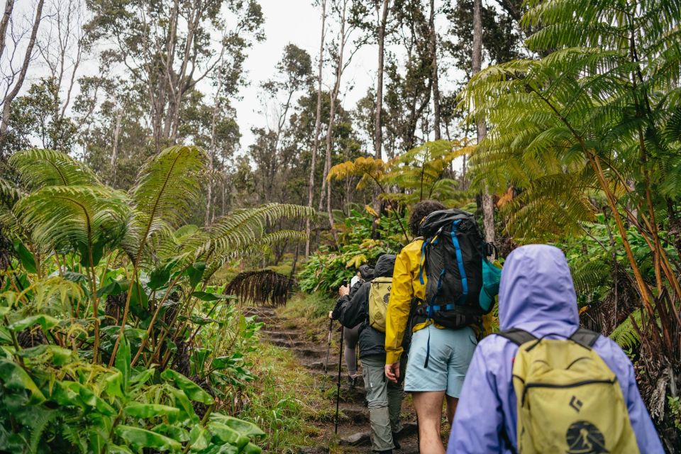 Big Island: Hawai'i Volcanoes National Park Guided Hike - A Detailed Look at the Hawaii Volcanoes National Park Guided Hike