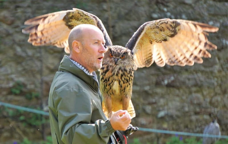 Inverness: Relaxed Private Northern Scottish Highlands Tour - FAQ