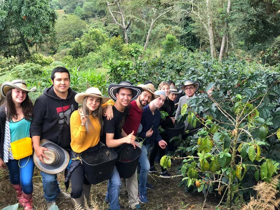 Salento: Coffee Farm Tour with Tasting - Key Points