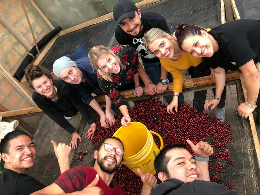 Salento: Coffee Farm Tour with Tasting - Salento: Coffee Farm Tour with Tasting – A Detailed Review