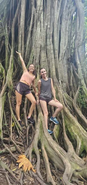 From Montego Bay: Blue Hole Waterfall Experience - Authentic Experiences and Community Support