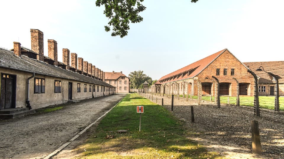 From Krakow: Wieliczka Salt Mine & Auschwitz Guided Trip - A Deep Dive into the Krakow: Salt Mine & Auschwitz Trip