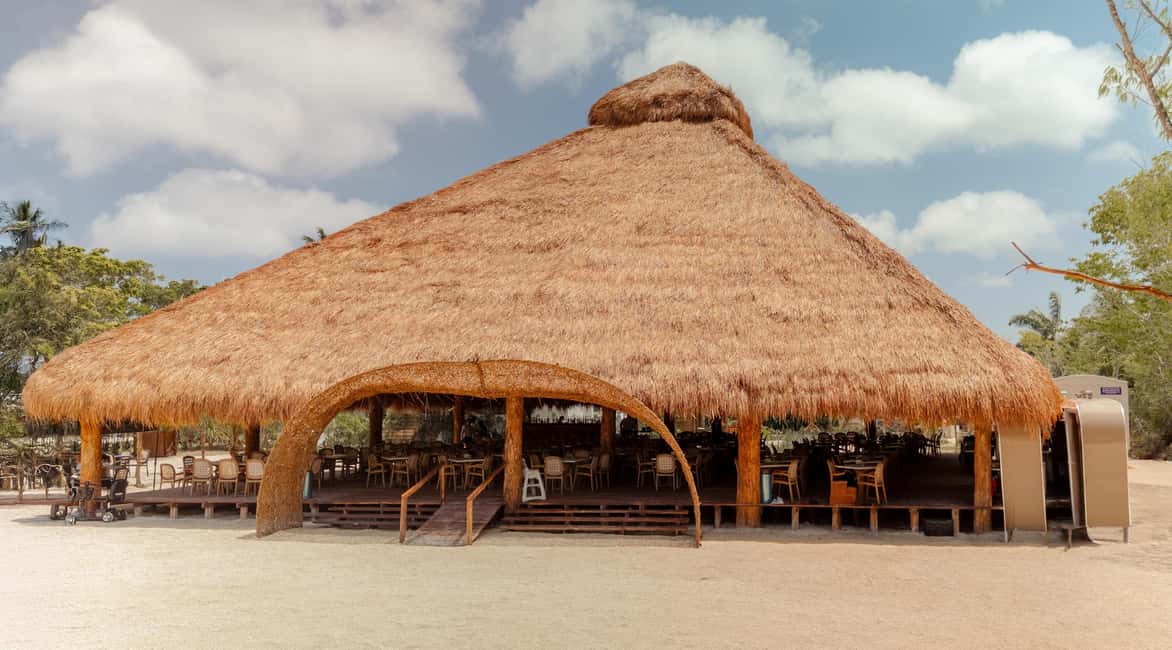 Isla Mia Roots with Tranfer - What Is Isla Mia Roots with Transfer?