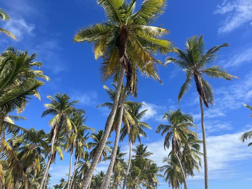 Saona Island: Beach & Natural Pool Small-Group Tour w/ Lunch - Exploring Saona Island: Beach & Natural Pool Small-Group Tour with Lunch