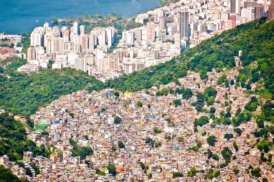 Rio De Janeiro: Half-Day Rocinha Favela Walking Tour - Key Points