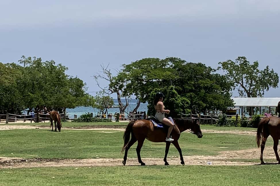 Montego Bay: Day Trip with Zipline, ATV, and Horseback Ride - The Scenic Value and Authentic Touches