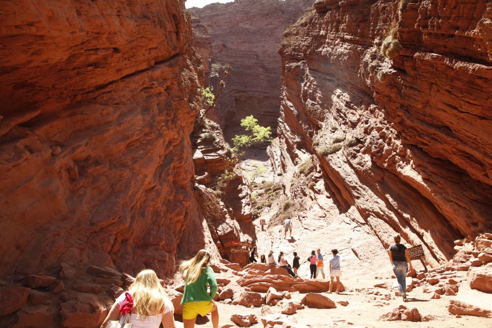 From Salta: Cafayate, Cachi, & Hornocal 3-Day Tour - A Practical Breakdown of the 3-Day Adventure