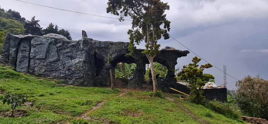 Medellin: Coffee Tour and Wellness Spa - A Practical Overview of the Medellin Coffee and Wellness Experience