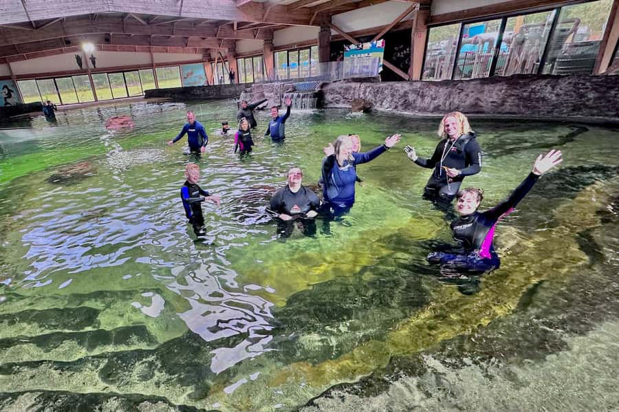 Anna Bay: Irukandji Entry with Zebra Shark Snorkel - Who Will Love This Tour?