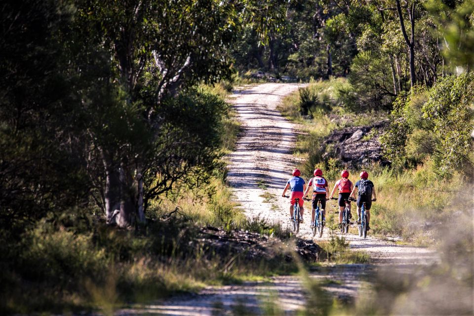 From Blue Mountains: Mountain e-Bike Ride, HANGING ROCK - Who Is This Tour Best For?