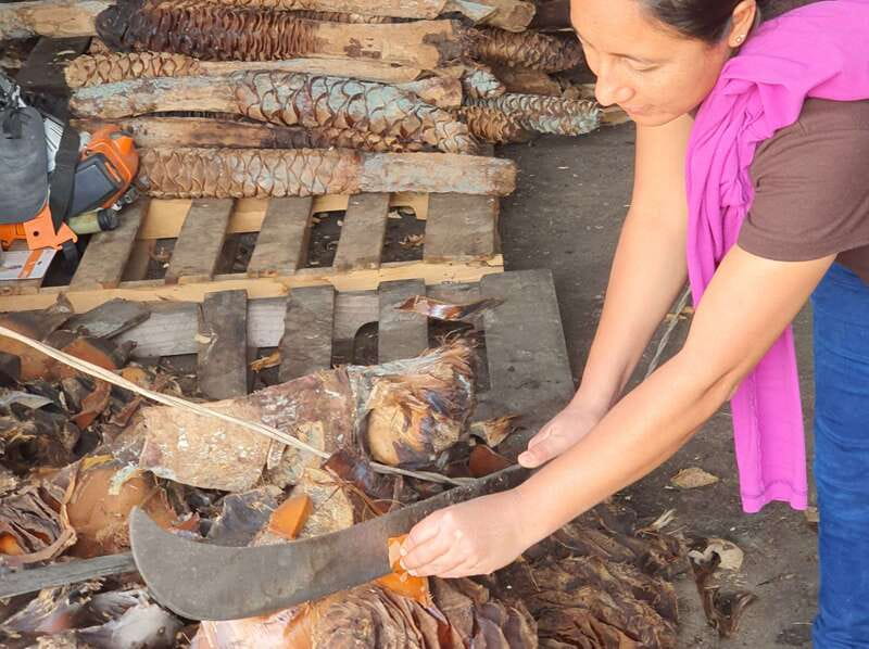 Oaxaca: Mezcal Adventure - FAQ