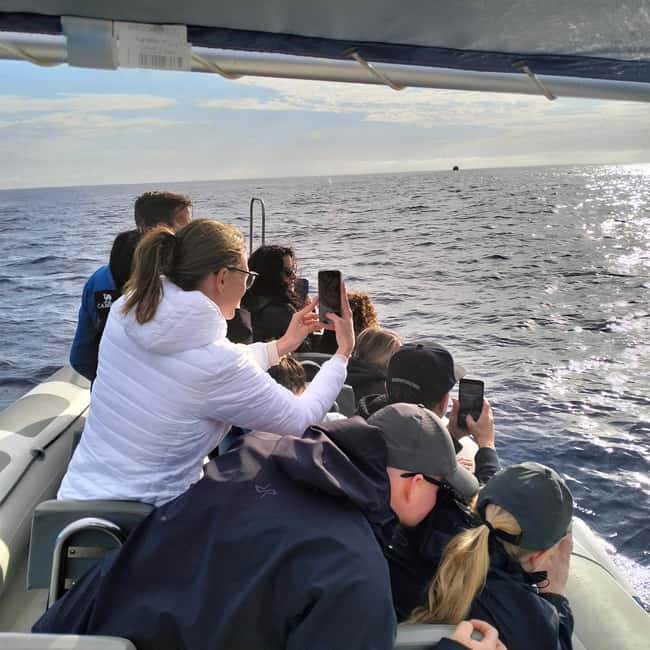 Can Picafort or Alcudia: Private boat - Who Should Consider This Experience?