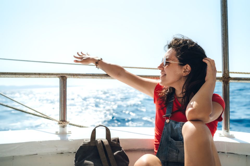 St. Petersburg, FL: Private 2-Hour Dolphin Watching Cruise - Key Points