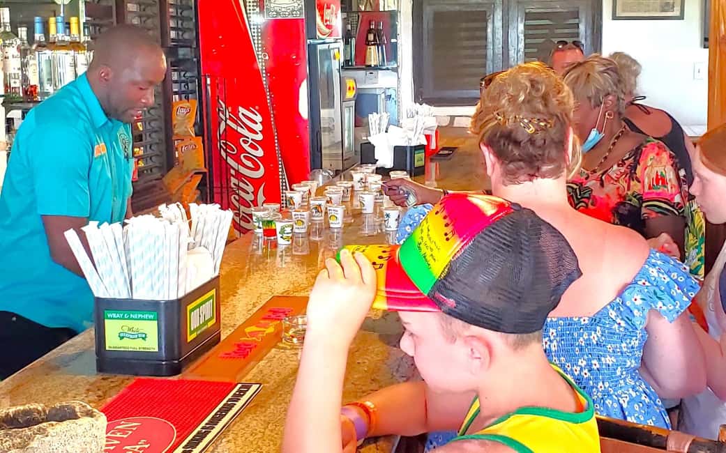 From Runaway Bay: Bob Marley Mausoleum Guided Day Trip - A Detailed Look at the Tour Experience