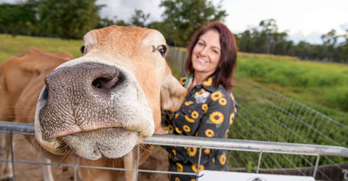 Bundaberg: Splitters Farm Guided Tour - Key Points