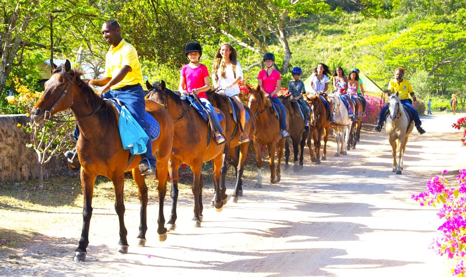 From Runaway Bay: Horseback Ride and Swim Countryside Tour - FAQs about the From Runaway Bay: Horseback Ride and Swim Countryside Tour