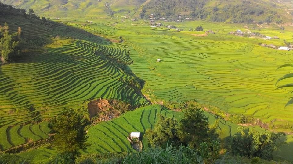 From Hanoi: 2 Day Sapa Trekking To Village & Bungalow, Meals - The Itinerary in Detail: What You Can Expect