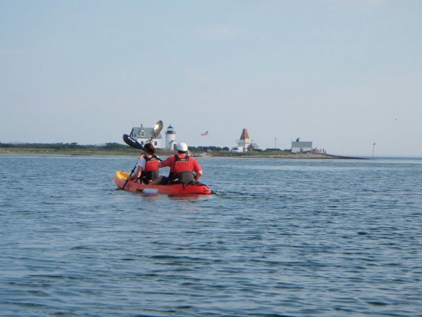 Biddeford Pool: Half Day Kayak or SUP Rental - Who Will Love This Experience?