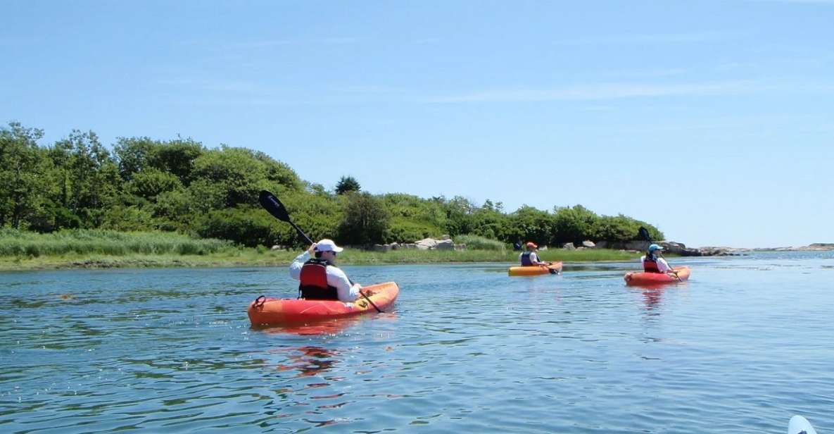 Biddeford Pool: Half Day Kayak or SUP Rental - Analyzing the Experience: Is It Worth It?