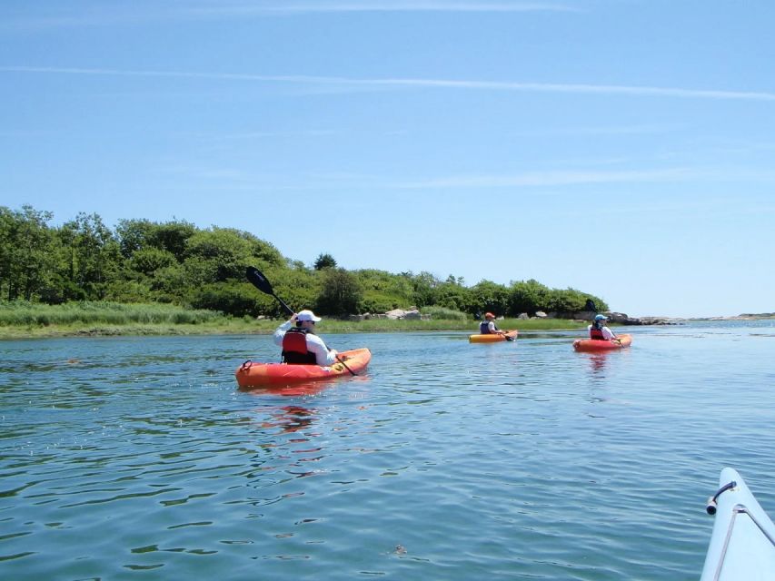 Biddeford Pool: Half Day Kayak or SUP Rental - Final Thoughts