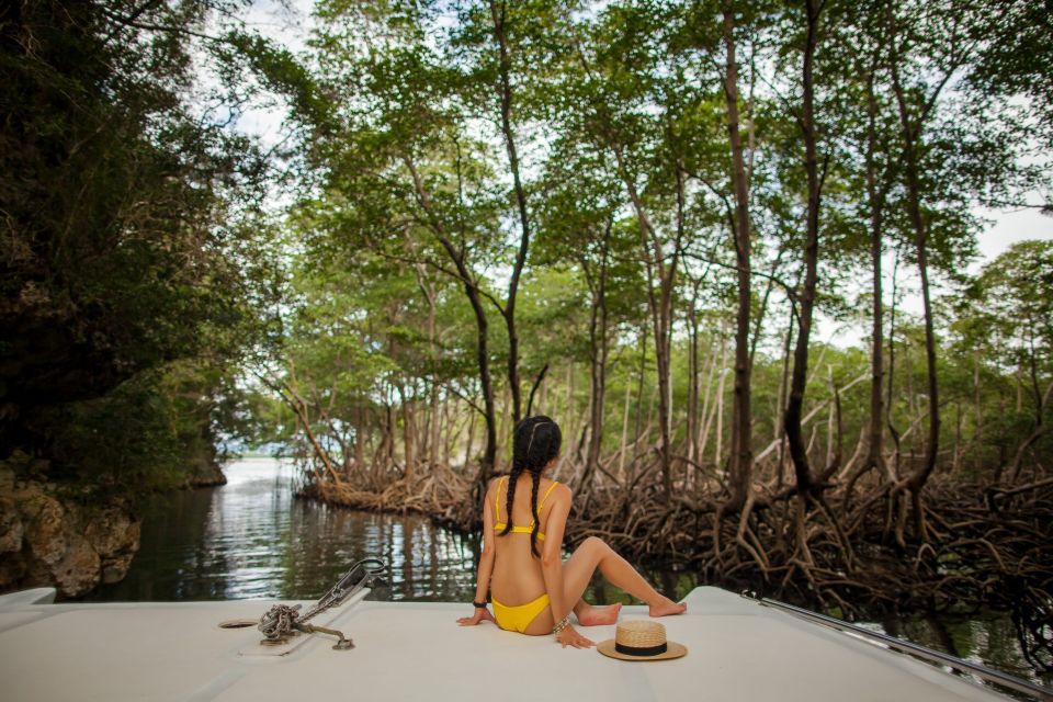 From Punta Cana: Los Haitises & Caño Hondo Private Boat Tour - Why This Tour Offers Good Value