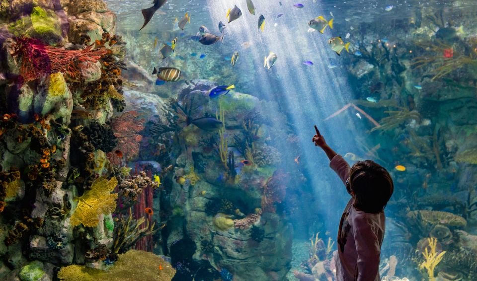 San Diego: CityPASS® Save up to 46% at Must-See Attractions - FAQ