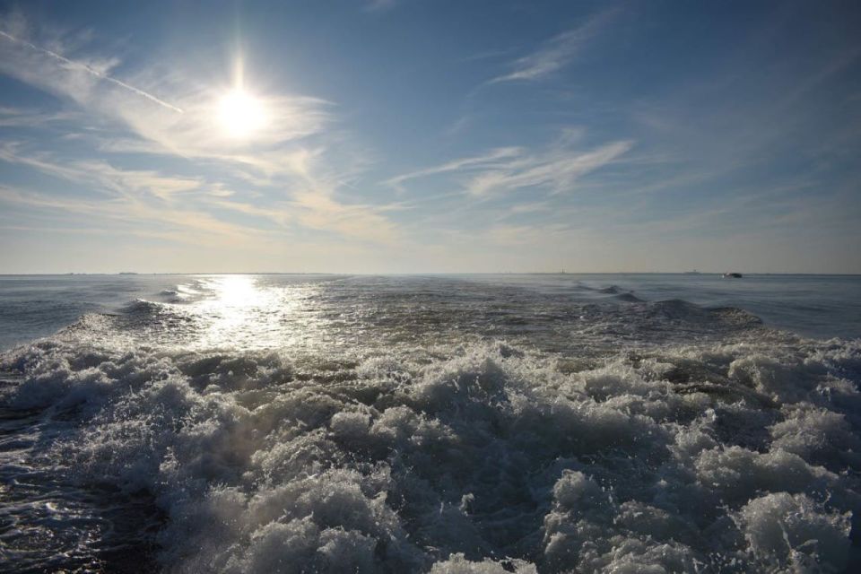 Private Dolphin Tour with Secluded Beach/Snorkel Stop - Wildlife Encounters: Dolphins and More