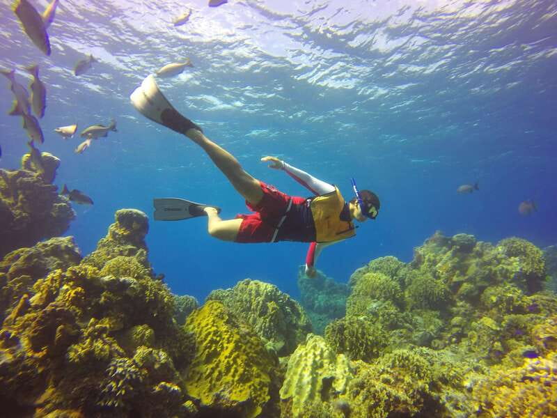 Cozumel: Catamaran, El Cielo Bay & Palancar Reef with Lunch - Practical Tips for Travelers