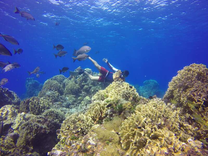 Cozumel: Catamaran, El Cielo Bay & Palancar Reef with Lunch - Final Thoughts