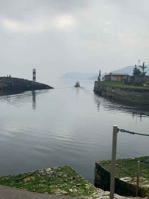 Belfast : Giants Causeway 8 hour private day tour - Who Will Love This Tour?