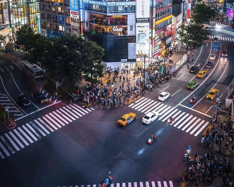 Tokyo: Private Customizable Tour with Transfer - What’s the Experience Like?