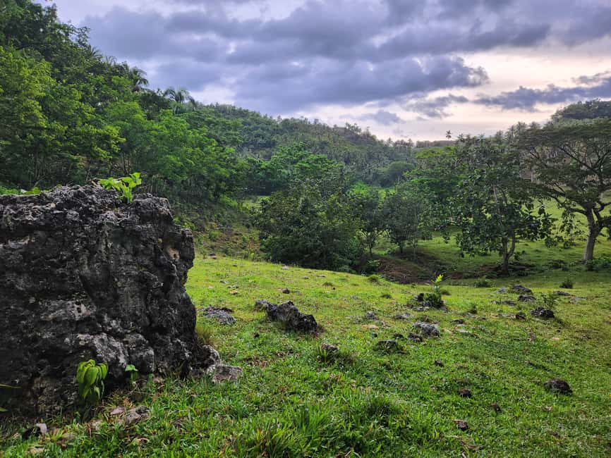 Samana: Private Los Haitises Expedition Caves & Mangroves - What to Expect on the Tour