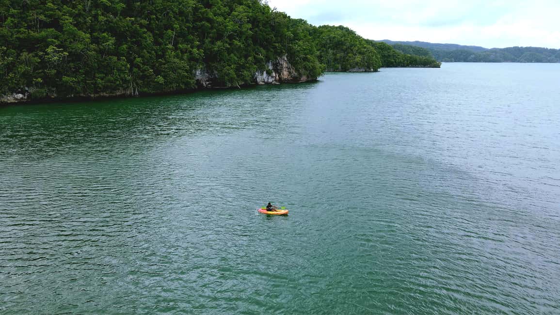 Samana: Private Los Haitises Expedition Caves & Mangroves - What Makes This Tour Special?